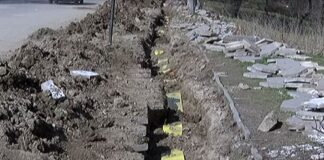 EVN с голям инвестиционен проект в Асеновград