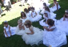 Фестивален рекорд в първата лятна седмица