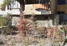 Какво се случва с новоизграденото капково напояване по проекта в кв. „Запад”