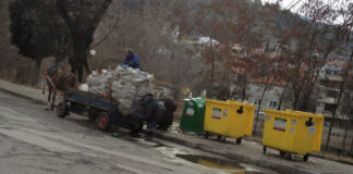 От днес каруците в Асеновград могат да се движат само в определен участък