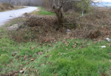 Мъж загина при тежка катастрофа на пътя Асеновград-Първомай