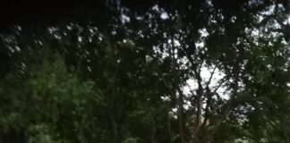 Тежка катастрофа със загинали на пътя Пловдив-Карлово