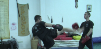 Пет медала от петима състезатели за асеновградския клуб по кикбокс