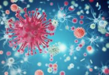 208 са новодиагностицираните с COVID-19 лица в Пловдив и областта през последното денонощие