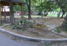 Бурни ветрове вилняха снощи в почти цялата страна