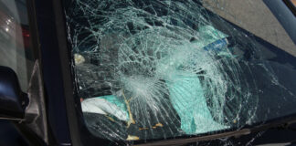 Пловдив се включва в Националния протест „Да спрем убийствата на пътя!“