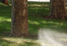 Стартира третиране на тревните площи срещу кърлежи