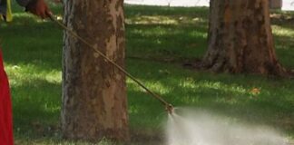 Стартира третиране на тревните площи срещу кърлежи