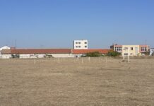 За първи път Асеновград ще е домакин на Държавно първенство по конен спорт