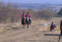 Държавно първенство по конен спорт