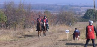 Държавно първенство по конен спорт