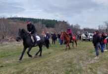 Кушии на Тодоровден край с. Долнослав