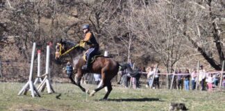 Конна надпревара на Тодоровден събра много хора край Долнослав