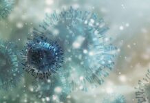 1700 души в областта са поставени под карантина