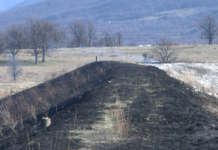 Огнеборците гасиха запалени треви на две места