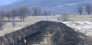 Огнеборците гасиха запалени треви на две места