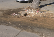 Разкопани участъци