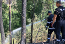 Днес продължаваха дейностите по погасяването на пожара