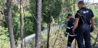 Днес продължаваха дейностите по погасяването на пожара