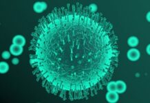 93 са карантинираните в Асеновград към днешна дата