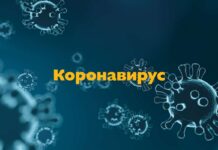 Няма нови случаи на COVID-19 в Асеновград, към днешна дата заразените остават 18