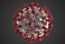 27 новозаразени с Ковид-19 в Асеновград