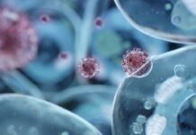 Може да сме карали Омикрон, без да разберем