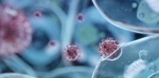 Може да сме карали Омикрон, без да разберем