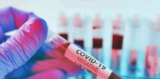 Към 30.03.2020 г. излекуваните пациенти с COVID-19 в България са15