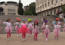 Празникът на Асеновград /ПРОГРАМА/