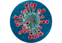 Близо 500 са новите случаи на заразени с Ковид в страната