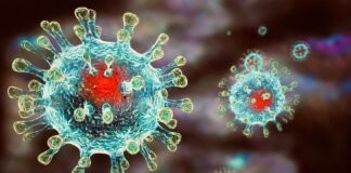 Над 12 хил. души с Ковид-19 за денонощие, в областта са близо 1200