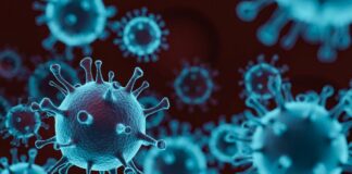 Тридневна справка за Covid-19 в областта