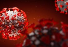 55 са новите случаи на Ковид-19 в страната, в Пловдив са 6