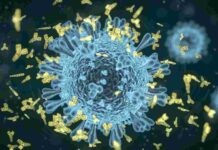 1 867 са новозаразените за денонощие в страната, 182-ма в Пловдивско ковид