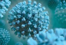 Справка за COVID-19 в областта