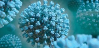 Справка за COVID-19 в областта