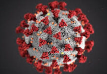 От Спешна помощ в областта са отговорили 47 повиквания, свързани с Ковид-19