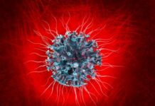 138 са починалите лица от COVID-19, регистрирани през последното денонощие в страната