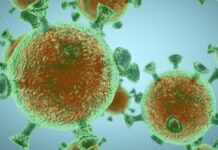 11 души, с придружаващи заболявания, са починали от КОВИД-19 в областта