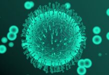 45 са заразените лица с COVID-19 в Асеновград