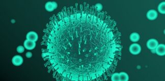 45 са заразените лица с COVID-19 в Асеновград