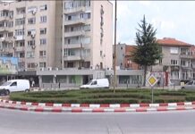 Предстои есенното зацветяване в центъра и кръговите в Асеновград