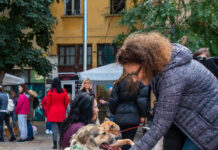 Кученца от пловдивския приют „превземат“ Капана утре