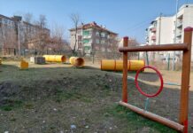 Общината пита: Къде да бъде изградена кучешка площадка в Асеновград