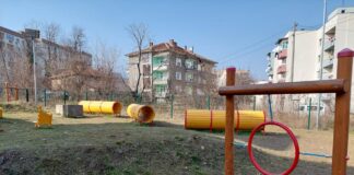 Общината пита: Къде да бъде изградена кучешка площадка в Асеновград