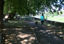 Последно: Новата площадка за кучета в Асеновград ще бъде в „Кучешкия парк“