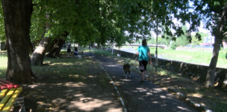 Последно: Новата площадка за кучета в Асеновград ще бъде в „Кучешкия парк“