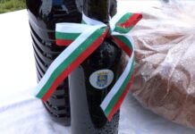 В Куклен зарязаха лозята при снеговалеж, очакват плодородна година