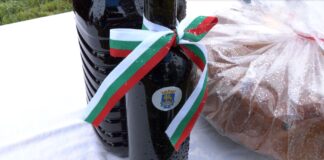 В Куклен зарязаха лозята при снеговалеж, очакват плодородна година